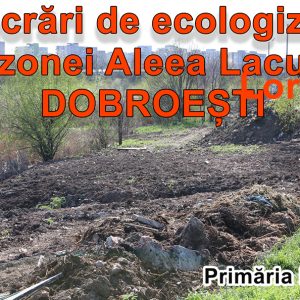 Ecologizare Aleea Lacului – Dobroesti – Aprilie 2020