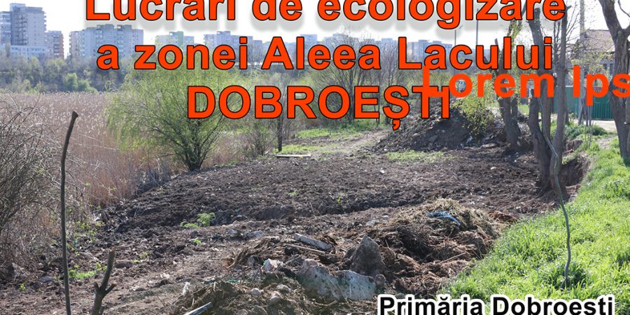 Ecologizare Aleea Lacului – Dobroesti – Aprilie 2020