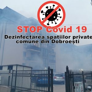 Dezinfectarea spatiilor private comune  din Dobroești