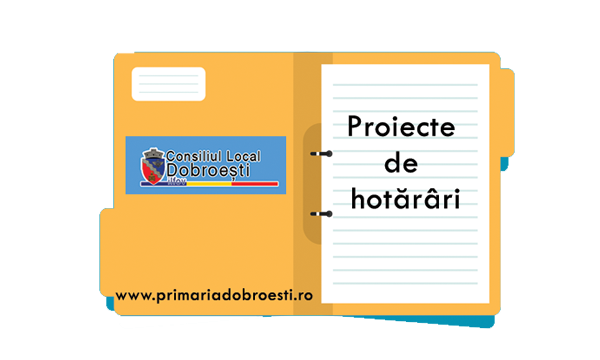 proiecte hotarari