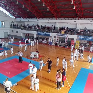 La Sala Sporturilor Unirea Dobroești s-a desfasurat in perioada 7-9 octombrie 2022 „Campionatul național de Karate Tradițional Fudokan pentru copii.
