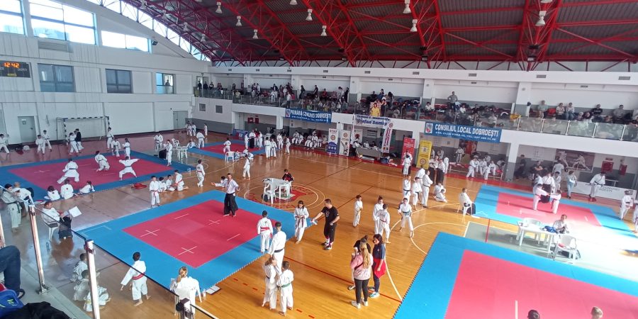 La Sala Sporturilor Unirea Dobroești s-a desfasurat in perioada 7-9 octombrie 2022 „Campionatul național de Karate Tradițional Fudokan pentru copii.